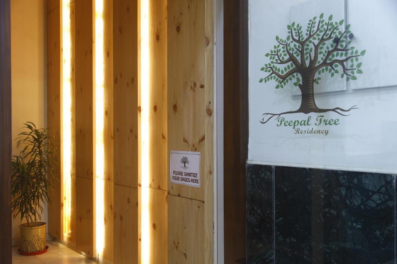 Bed and Breakfast Peepal Tree Residency à New Delhi Extérieur photo